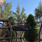 MDA APART GEN SELNERA #3256